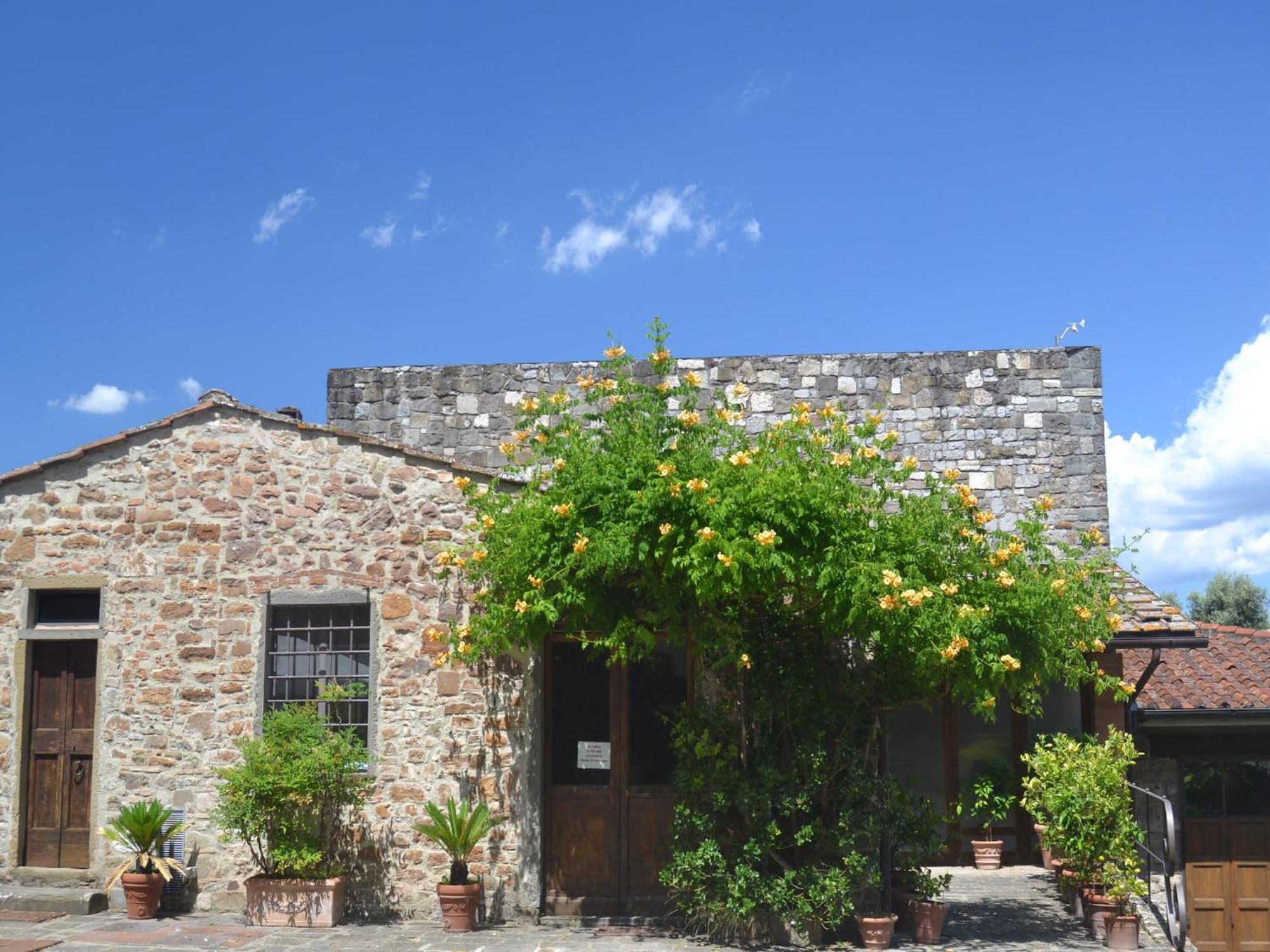 Pleasant Apartment With Swimming Pool Garden Bbq Parking Lucolena in Chianti Dış mekan fotoğraf